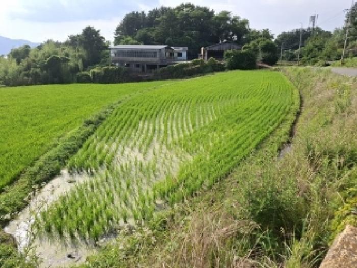 2025타경30891 전답 · 경상남도 남해군 서면