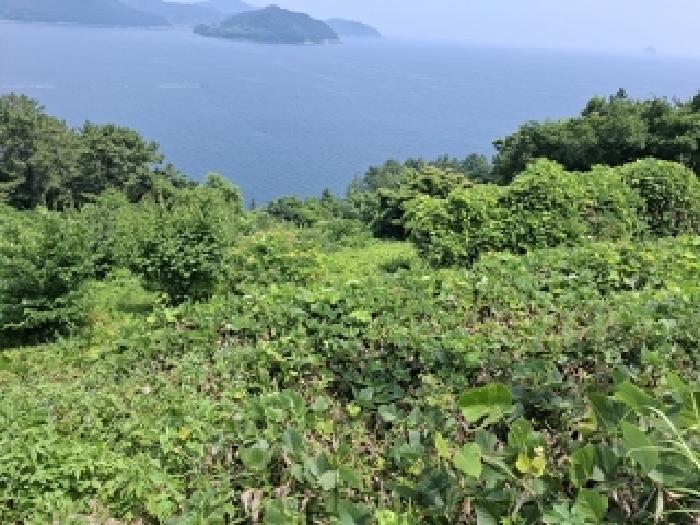 2025타경30956 대지 · 경상남도 남해군 남면