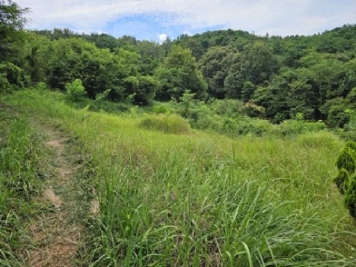 2025타경30980 · 경상남도 산청군 신등면 양전리 531-4
