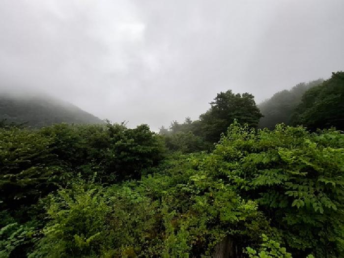 2025타경31017 대지 · 경상남도 남해군 남면