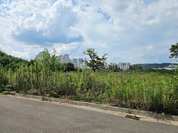 2025타경31024 · 경상남도 진주시 내동면 독산리 520-2
