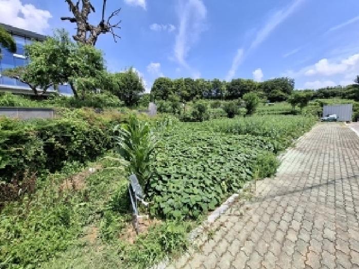 2025타경31045 대지 · 경상남도 사천시 사천읍