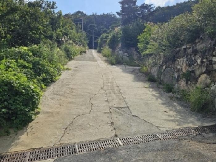 2025타경31047 임야 · 경상남도 산청군 신안면 안봉리 산7-4