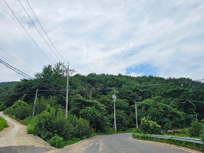 2025타경31053 임야 · 경상남도 산청군 신안면