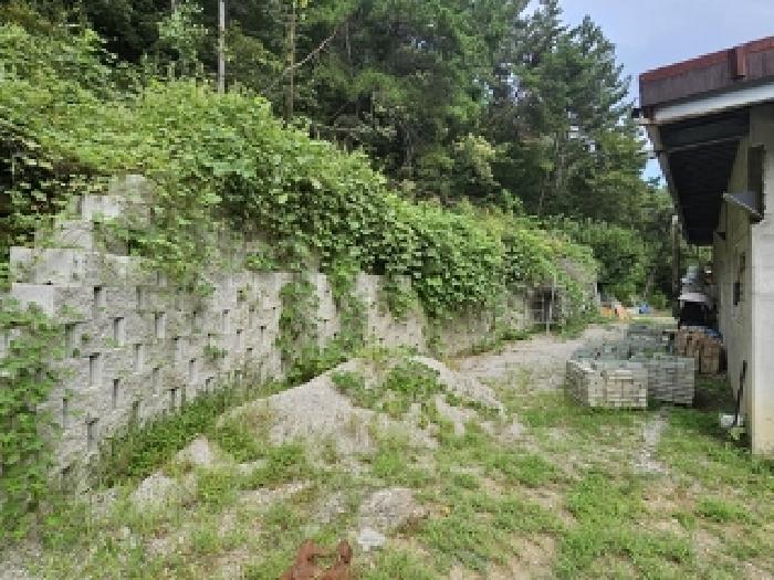 2025타경31064 임야 · 경상남도 진주시 집현면