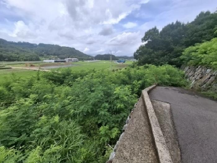 2025타경31090 임야 · 경상남도 사천시 사천읍