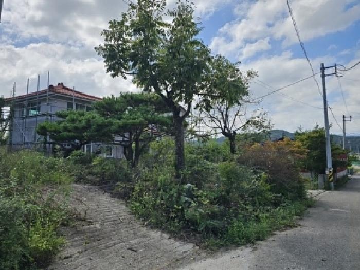 2025타경31110 · 경상남도 산청군 신안면