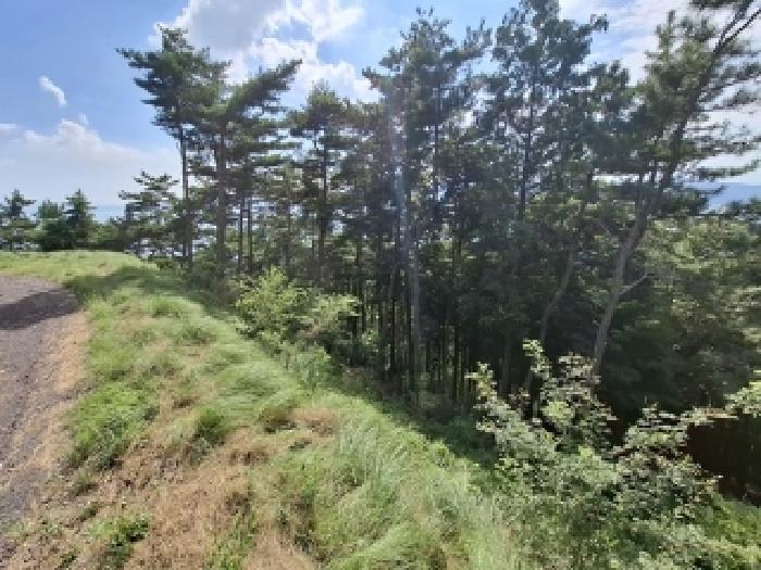 2025타경31139 임야 · 경상남도 남해군 서면 작장리 산123