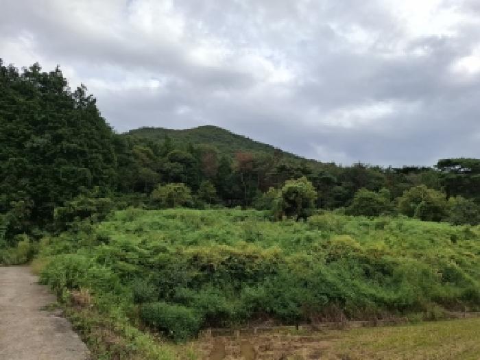 2025타경31178 대지 · 경상남도 남해군 삼동면