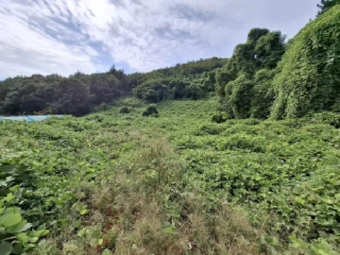 2025타경31193 대지 · 경상남도 남해군 창선면