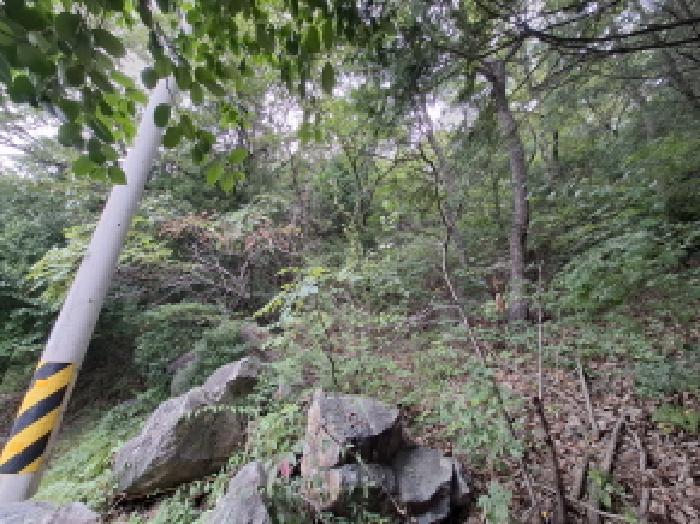 2025타경31204 대지 · 경상남도 남해군 미조면