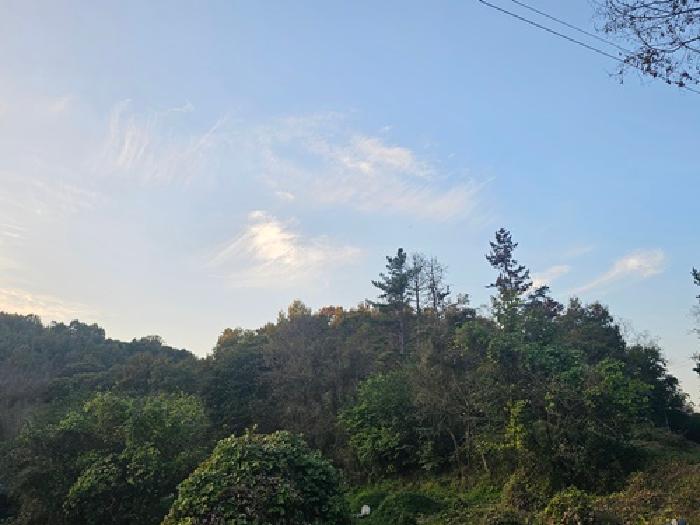 2025타경31230 대지 · 경상남도 진주시 금곡면