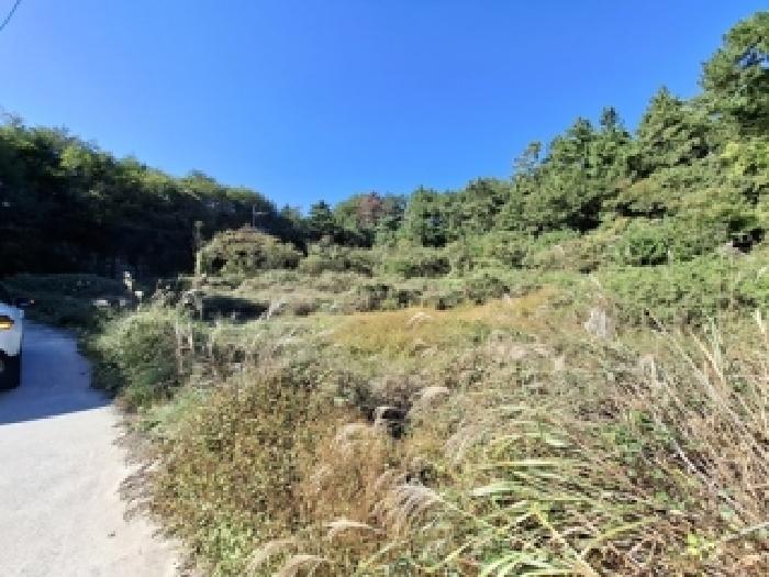 2025타경31284 전답 · 경상남도 남해군 창선면 진동리 148