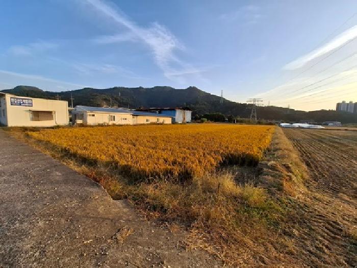 2025타경31296 다세대연립 · 경상남도 사천시 서포면