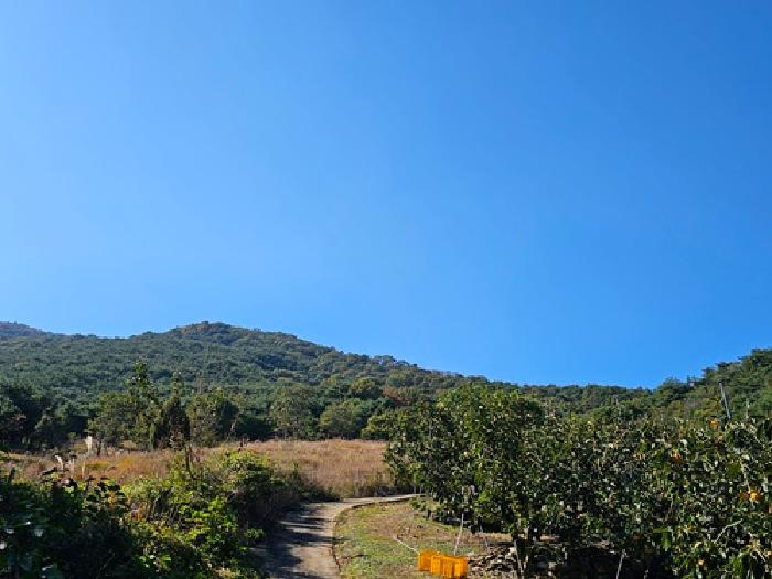 2025타경31302 임야 · 경상남도 산청군 신등면
