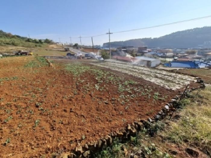 2025타경31316 전답 · 경상남도 남해군 남면