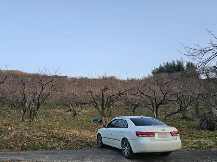 2025타경31340 대지 · 경상남도 하동군 악양면