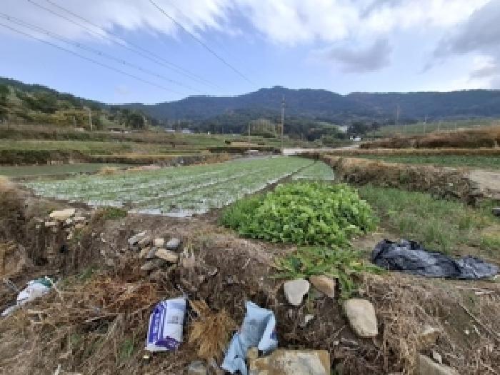 2025타경31370 대지 · 경상남도 남해군 고현면