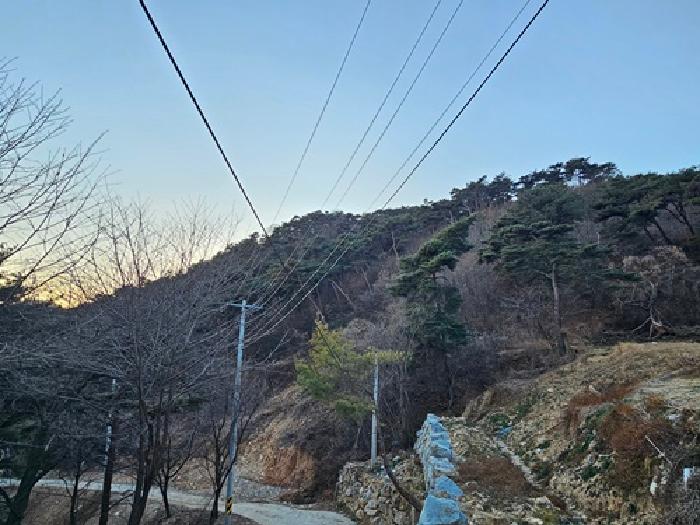 2025타경31399 대지 · 경상남도 산청군 단성면