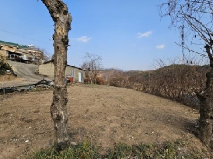 2025타경31419 대지 · 경상남도 하동군 금성면