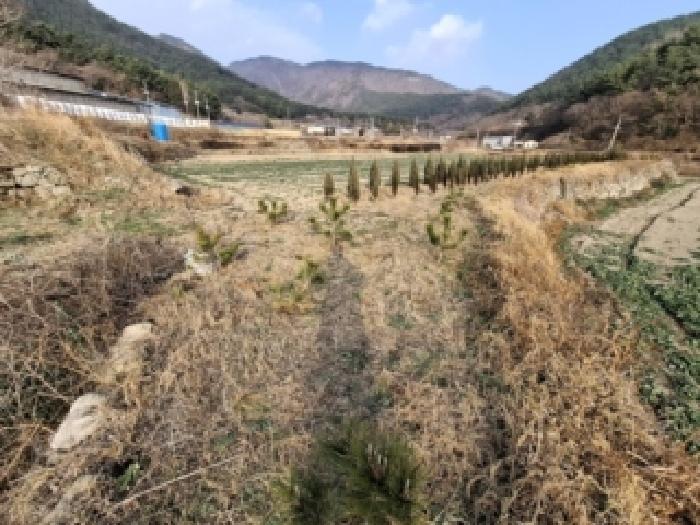 2025타경31446 전답 · 경상남도 남해군 서면