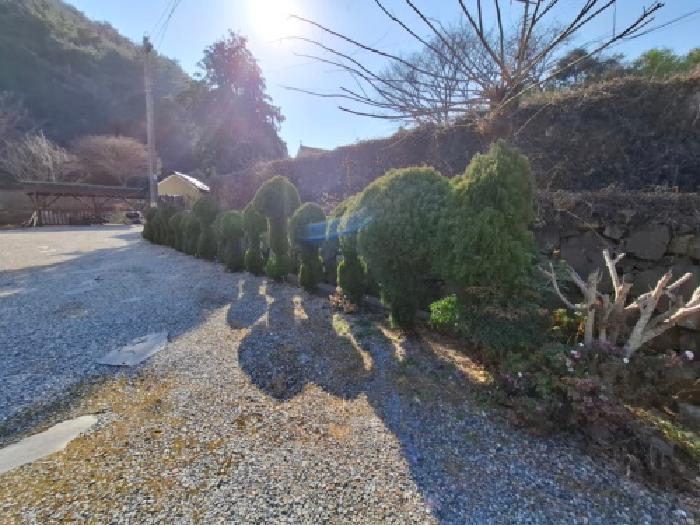 2025타경31481 대지 · 경상남도 남해군 삼동면 물건리 539