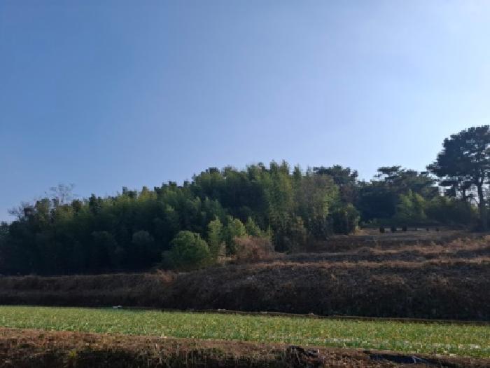 2025타경31494 전답 · 경상남도 남해군 이동면