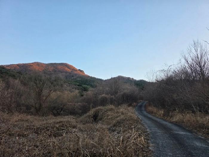 2025타경31538 임야 · 경상남도 남해군 남면 홍현리 산98
