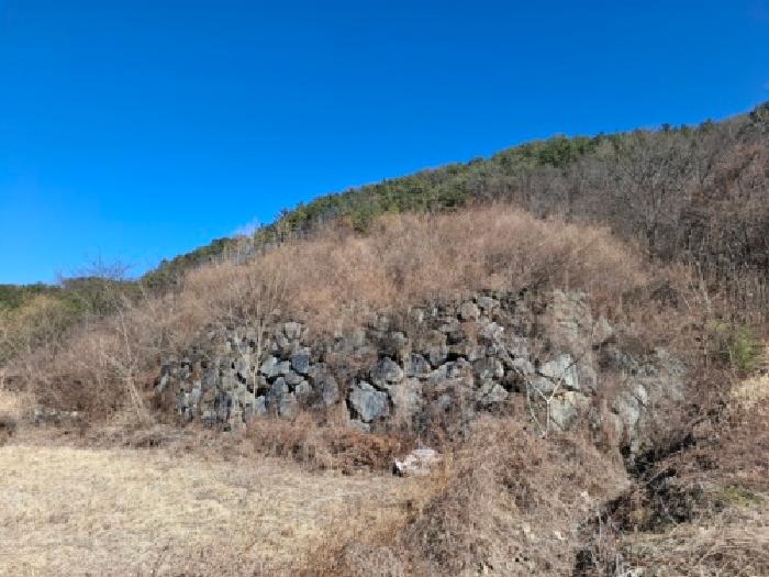 2025타경31543 임야 · 경상남도 산청군 생비량면 화현리 산165-2