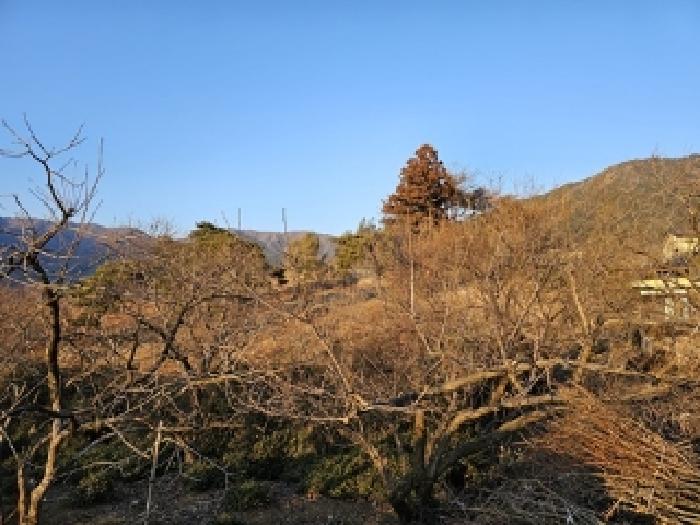 2025타경487 임야 · 경상남도 하동군 악양면 신흥리 761-3