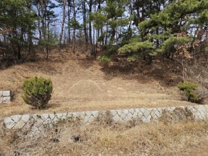 2025타경505 임야 · 경상남도 산청군 단성면