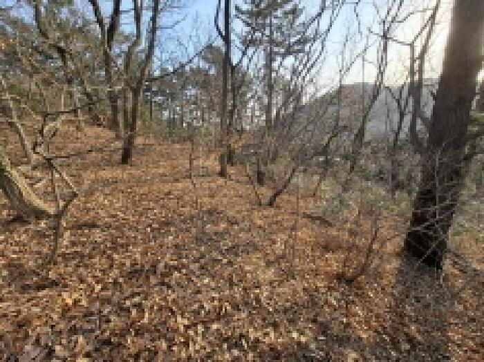 2025타경513 대지 · 경상남도 남해군 미조면