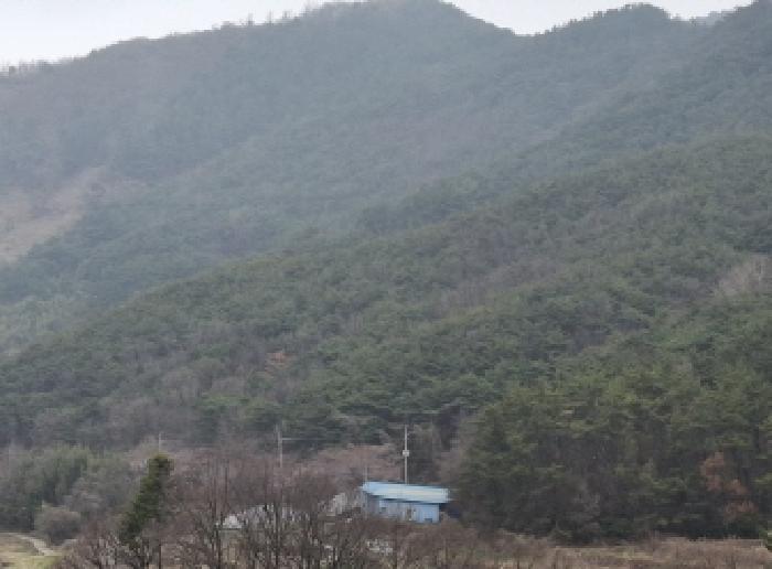 2025타경567 임야 · 경상남도 남해군 서면