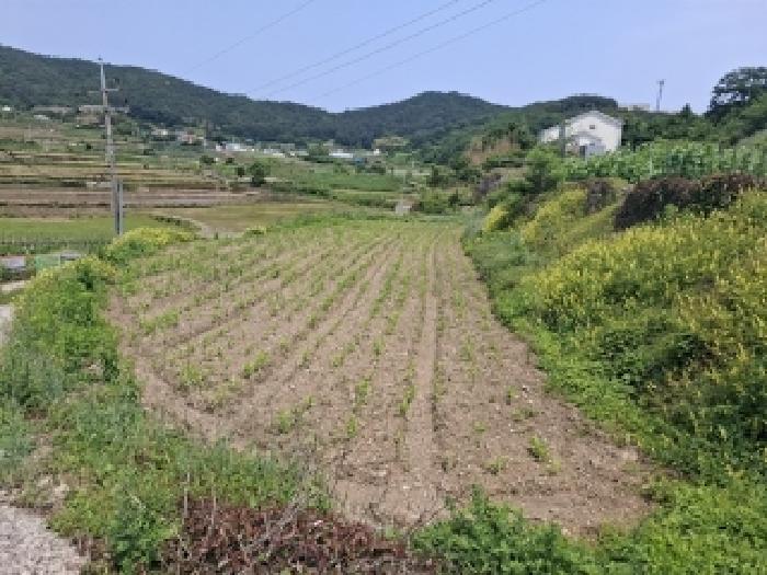 2025타경671 전답 · 경상남도 남해군 삼동면