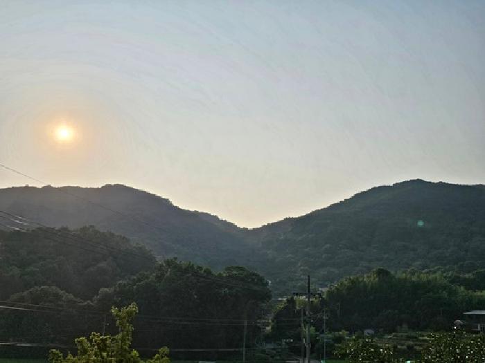 2025타경684 임야 · 경상남도 산청군 신안면 안봉리 산224-2
