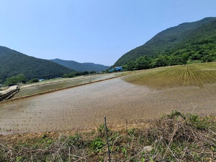 2025타경686 전답 · 경상남도 남해군 삼동면