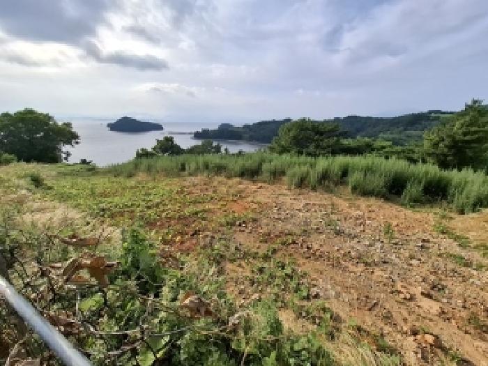 2025타경700 임야 · 경상남도 남해군 서면 정포리 산133-1