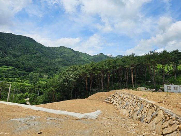 2025타경702 임야 · 경상남도 산청군 신안면