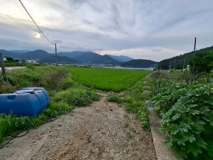2025타경706 대지 · 경상남도 남해군 남해읍 평리 768-1