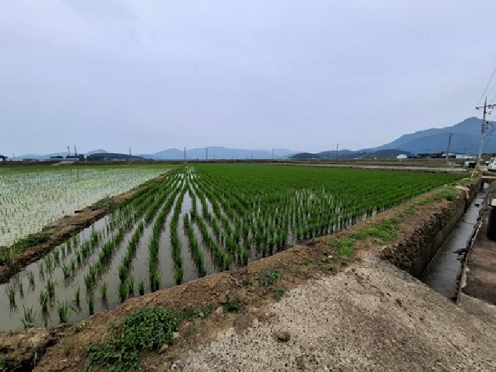 2025타경737 전답 · 경상남도 남해군 이동면 초음리 68