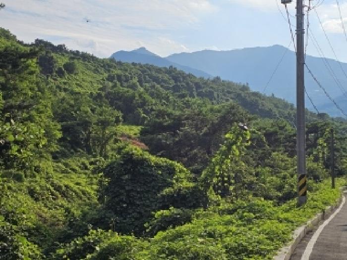 2025타경776 임야 · 경상남도 산청군 산청읍