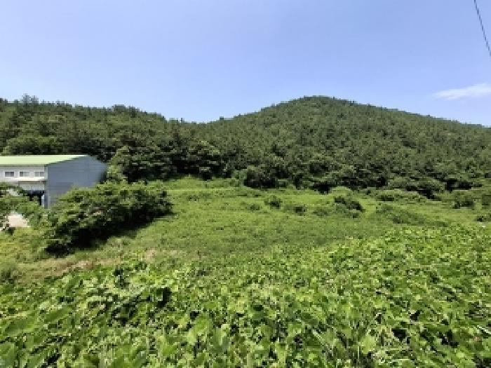2025타경792 대지 · 경상남도 남해군 삼동면
