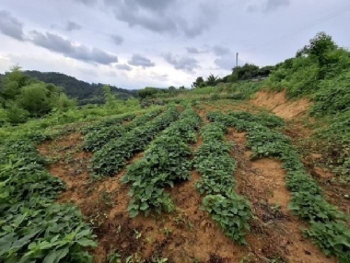 2025타경800 대지 · 경상남도 진주시 정촌면