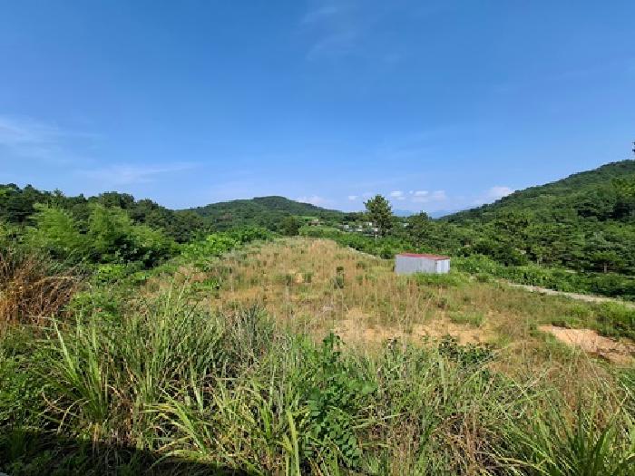 2025타경810 임야 · 경상남도 사천시 서포면