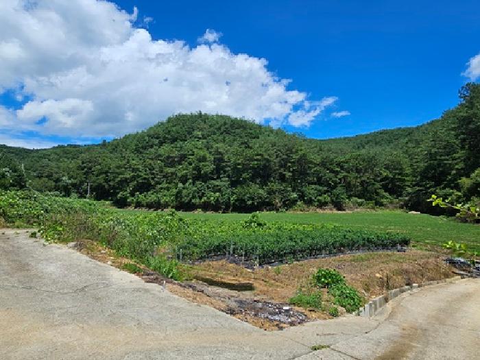 2025타경821 대지 · 경상남도 진주시 수곡면