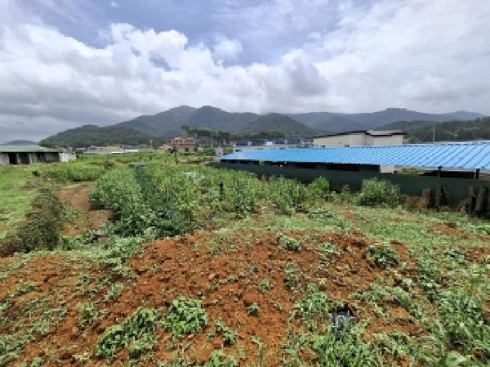 2025타경824 전답 · 경상남도 남해군 삼동면