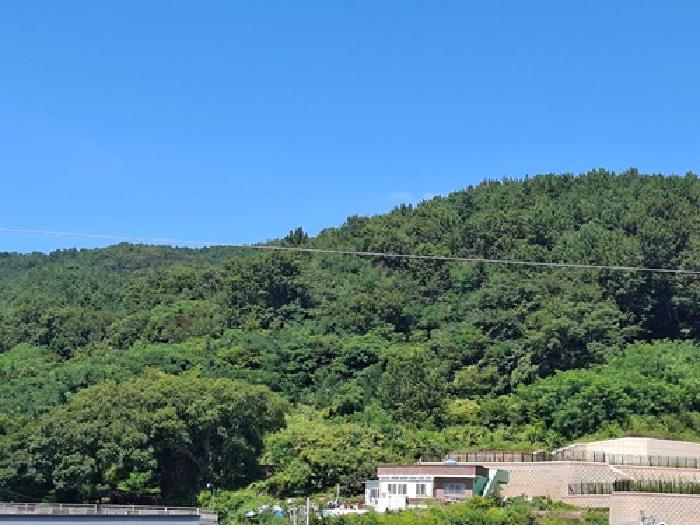2025타경833 대지 · 경상남도 사천시 실안동