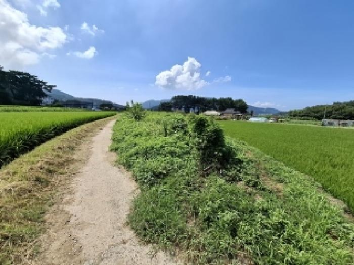 2025타경851 대지 · 경상남도 사천시 신벽동