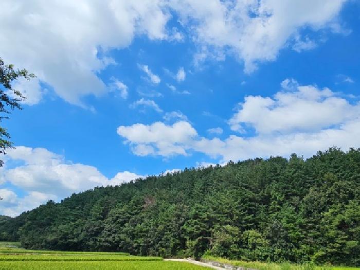 2025타경865 임야 · 경상남도 산청군 신안면 외고리 산15