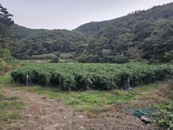 2025타경867 · 경상남도 진주시 이반성면